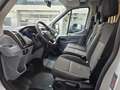 Ford Transit Kasten 350 L2H2 Automatik Kamera AHK Weiß - thumbnail 9