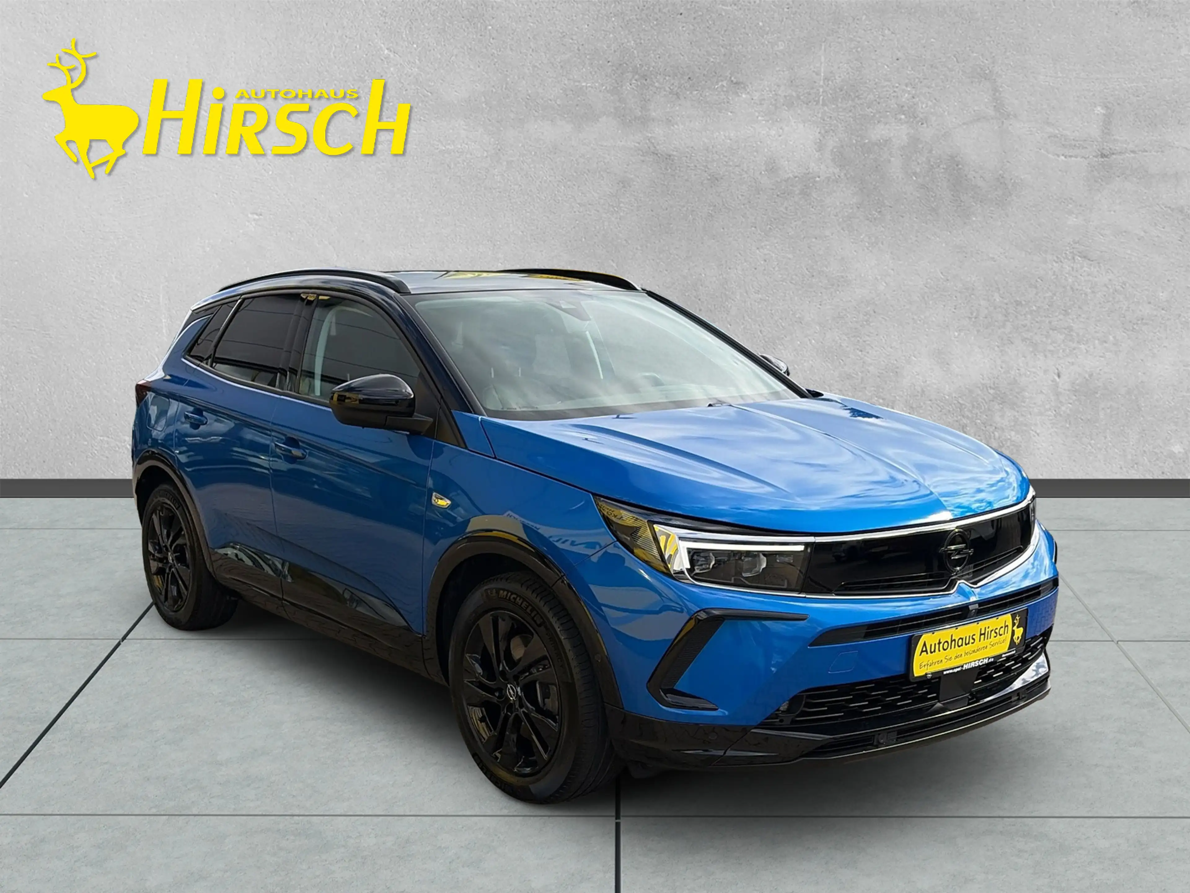 Opel Grandland X Grandland, PHEV, GS, VOLLEDER+MATRIX-LED+AHK+NAVI+