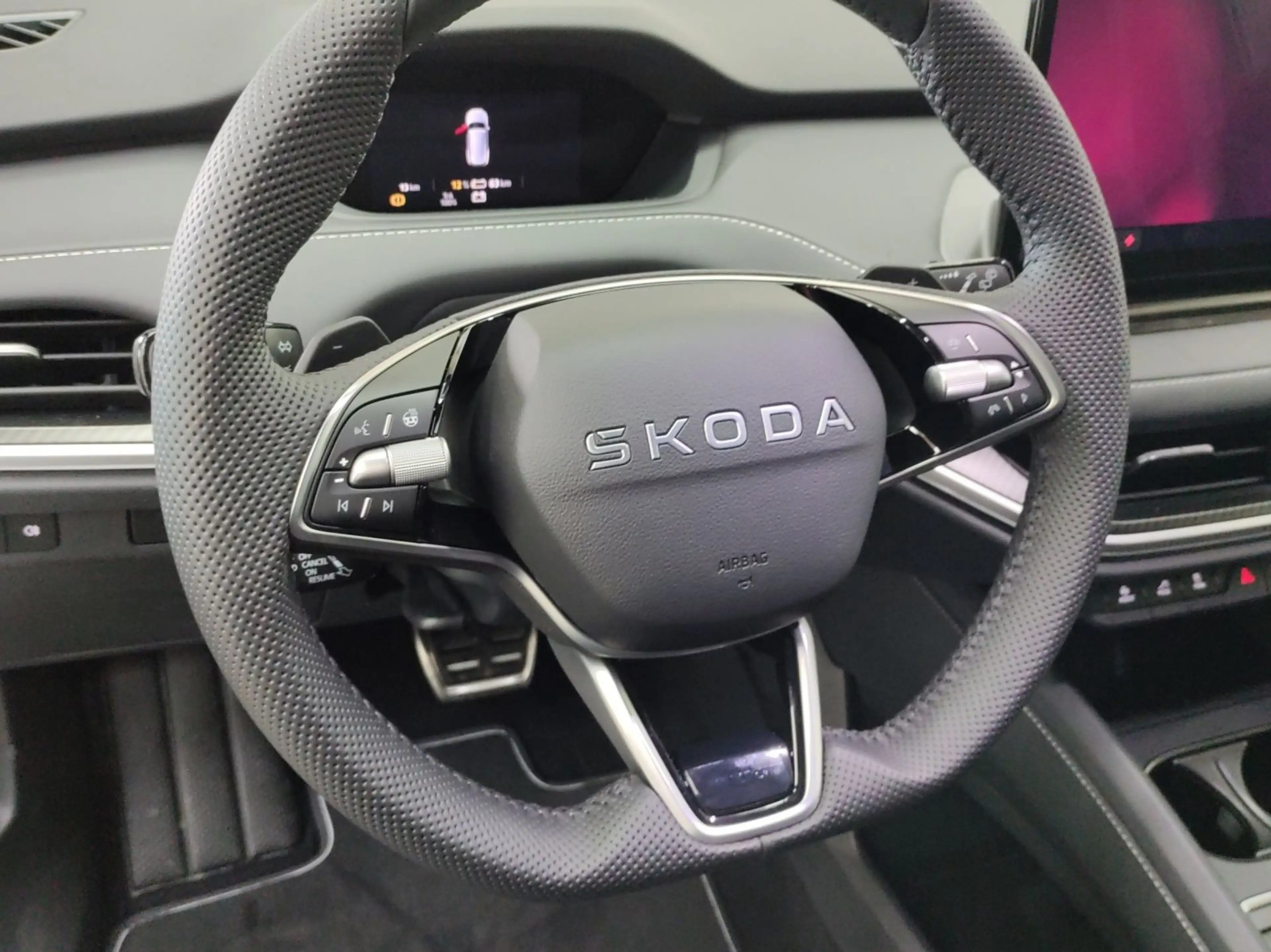 Skoda Enyaq 85 Sportline MATRIX 360° CANTON AHK LM21 — photo 9