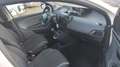 Lancia Ypsilon Ypsilon 1.2 69 CV 5 porte Silver Blanc - thumbnail 11