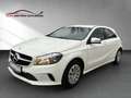 Mercedes-Benz A 180 CDI BE Business PDC Aut. Tempo Navi Sitzh. Weiß - thumbnail 1