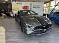 Ford Mustang Fastback 5.0 V8 450ch GT (Pas de Malus) - thumbnail 1