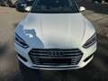 Audi A5 Vollvirtuell 3xS-Line R-Kamara ACC Bang olufsen White - thumbnail 3