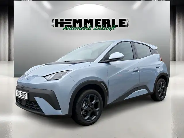 BYD Dolphin Surf