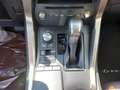 Lexus NX 300h Executive Rouge - thumbnail 13