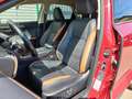 Lexus NX 300h Executive Rouge - thumbnail 8