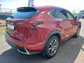 Lexus NX 300h Executive Rouge - thumbnail 4