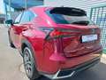 Lexus NX 300h Executive Rouge - thumbnail 3