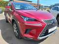 Lexus NX 300h Executive Rouge - thumbnail 5