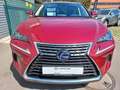 Lexus NX 300h Executive Rouge - thumbnail 6