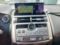 Lexus NX 300h Executive Rouge - thumbnail 12