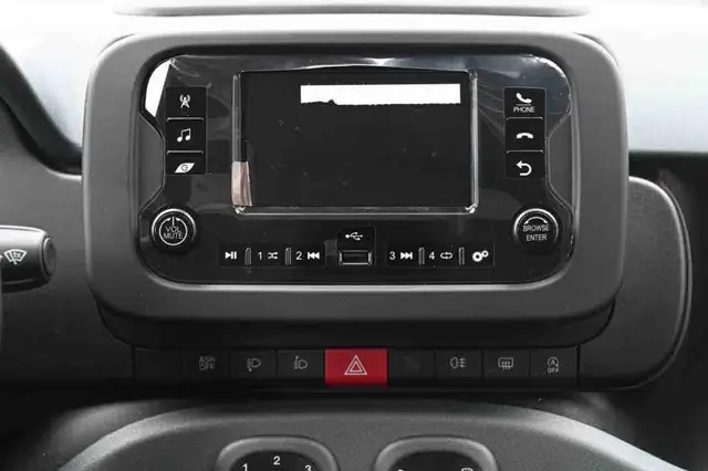 Fiat Panda view 13