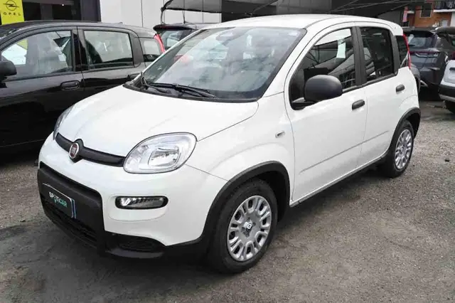 2025 Fiat Panda in White for sale