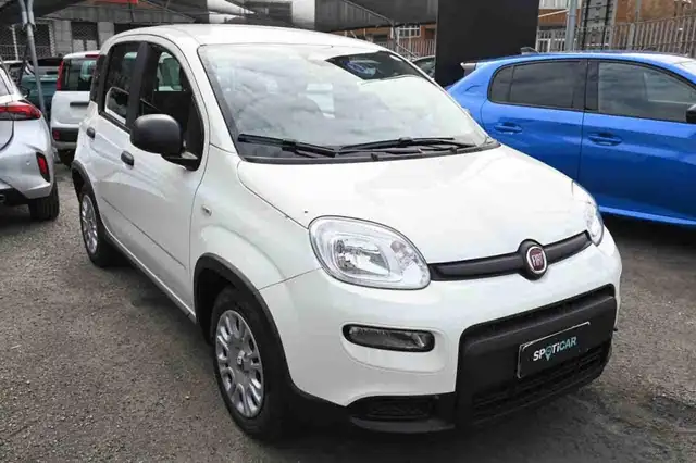 Fiat Panda view 2