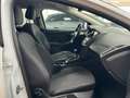 Ford Focus Turnier Titanium AHK/LED/KAMERA/SHZ/NAVI/ Blanc - thumbnail 21