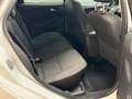 Ford Focus Turnier Titanium AHK/LED/KAMERA/SHZ/NAVI/ Blanc - thumbnail 19