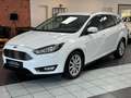 Ford Focus Turnier Titanium AHK/LED/KAMERA/SHZ/NAVI/ Blanc - thumbnail 1