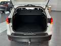 Ford Focus Turnier Titanium AHK/LED/KAMERA/SHZ/NAVI/ Blanc - thumbnail 24