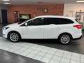 Ford Focus Turnier Titanium AHK/LED/KAMERA/SHZ/NAVI/ Blanc - thumbnail 8