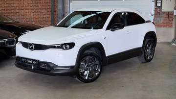 *Garantie*Elektrisch*Automaat*SOH 95%*Getinte Ruiten*Parkeersensor*LED*Camera*Half Leder*Zetelverwarming*Adaptive Cruise