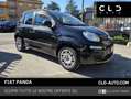 Fiat Panda 1.2 Easy Nero - thumbnail 1