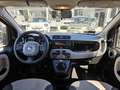 Fiat Panda 1.2 Easy Nero - thumbnail 9