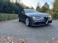 Alfa Romeo Giulia 2.0T AWD Q4 VELOCE/ACRUISE/NAV/XENON/LED Grigio - thumbnail 3