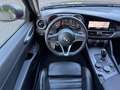 Alfa Romeo Giulia 2.0T AWD Q4 VELOCE/ACRUISE/NAV/XENON/LED Grigio - thumbnail 12