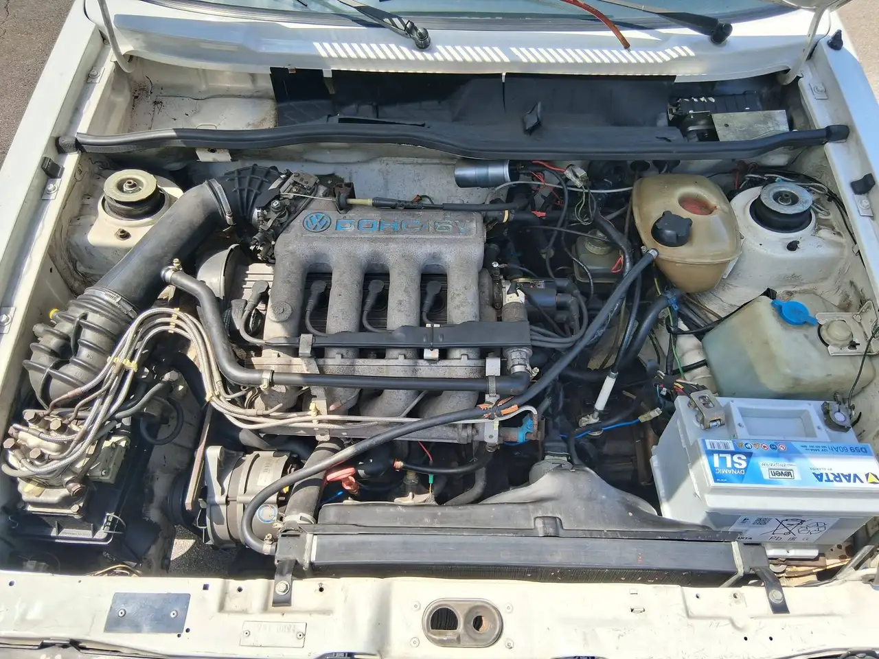 Volkswagen Golf Cabriolet Bild 22