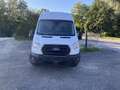 Ford Transit Transit Kasten 2,0 EcoBlue L3H3 350 Trend Weiß - thumbnail 1