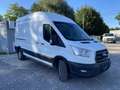 Ford Transit Transit Kasten 2,0 EcoBlue L3H3 350 Trend Weiß - thumbnail 5