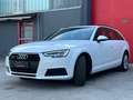 Audi A4 AVANT 40 2.0 TDI QUATTRO S-TRONIC-*PROMOZIONE* - thumbnail 3