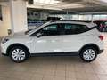SEAT Arona TSi DSG Style/KAMERA/SZHZG/PDC Weiß - thumbnail 3