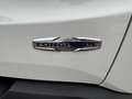 Jeep Renegade 1.6 E-Torq Longitude **STUUR + STOELVERWARMING + C Wit - thumbnail 11