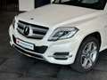 Mercedes-Benz GLK 250 CDI 4Matic*designo*Keyless*Panorama*AHK* Wit - thumbnail 14