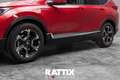 Honda CR-V 2.0 HEV 145CV Lifestyle Navi ECVT Rosso - thumbnail 4