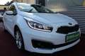 Kia Ceed SW / cee'd SW cee'd SPORTSWAGON DREAM TEAM EDITION NAVI PDC Blanco - thumbnail 2