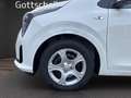 Kia Picanto 1.0 GDI MT Core (4-Sitzer) *RFK* Bianco - thumbnail 7