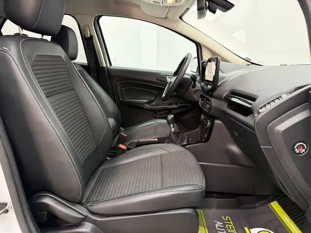 Ford Ecosport view 12