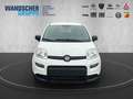 Fiat Panda MY24 Hybrid 1.0 GSE 70PS KLIMAANLAGE*RADIO Weiß - thumbnail 10