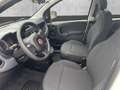 Fiat Panda MY24 Hybrid 1.0 GSE 70PS KLIMAANLAGE*RADIO Weiß - thumbnail 11