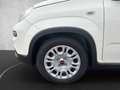 Fiat Panda MY24 Hybrid 1.0 GSE 70PS KLIMAANLAGE*RADIO Weiß - thumbnail 17
