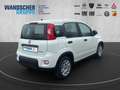 Fiat Panda MY24 Hybrid 1.0 GSE 70PS KLIMAANLAGE*RADIO Weiß - thumbnail 7