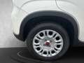 Fiat Panda MY24 Hybrid 1.0 GSE 70PS KLIMAANLAGE*RADIO Weiß - thumbnail 18