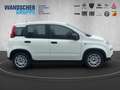 Fiat Panda MY24 Hybrid 1.0 GSE 70PS KLIMAANLAGE*RADIO Weiß - thumbnail 8