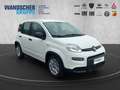 Fiat Panda MY24 Hybrid 1.0 GSE 70PS KLIMAANLAGE*RADIO Weiß - thumbnail 7