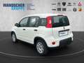 Fiat Panda MY24 Hybrid 1.0 GSE 70PS KLIMAANLAGE*RADIO Weiß - thumbnail 3
