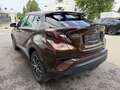 Toyota C-HR Hybrid C-HIC Braun - thumbnail 10