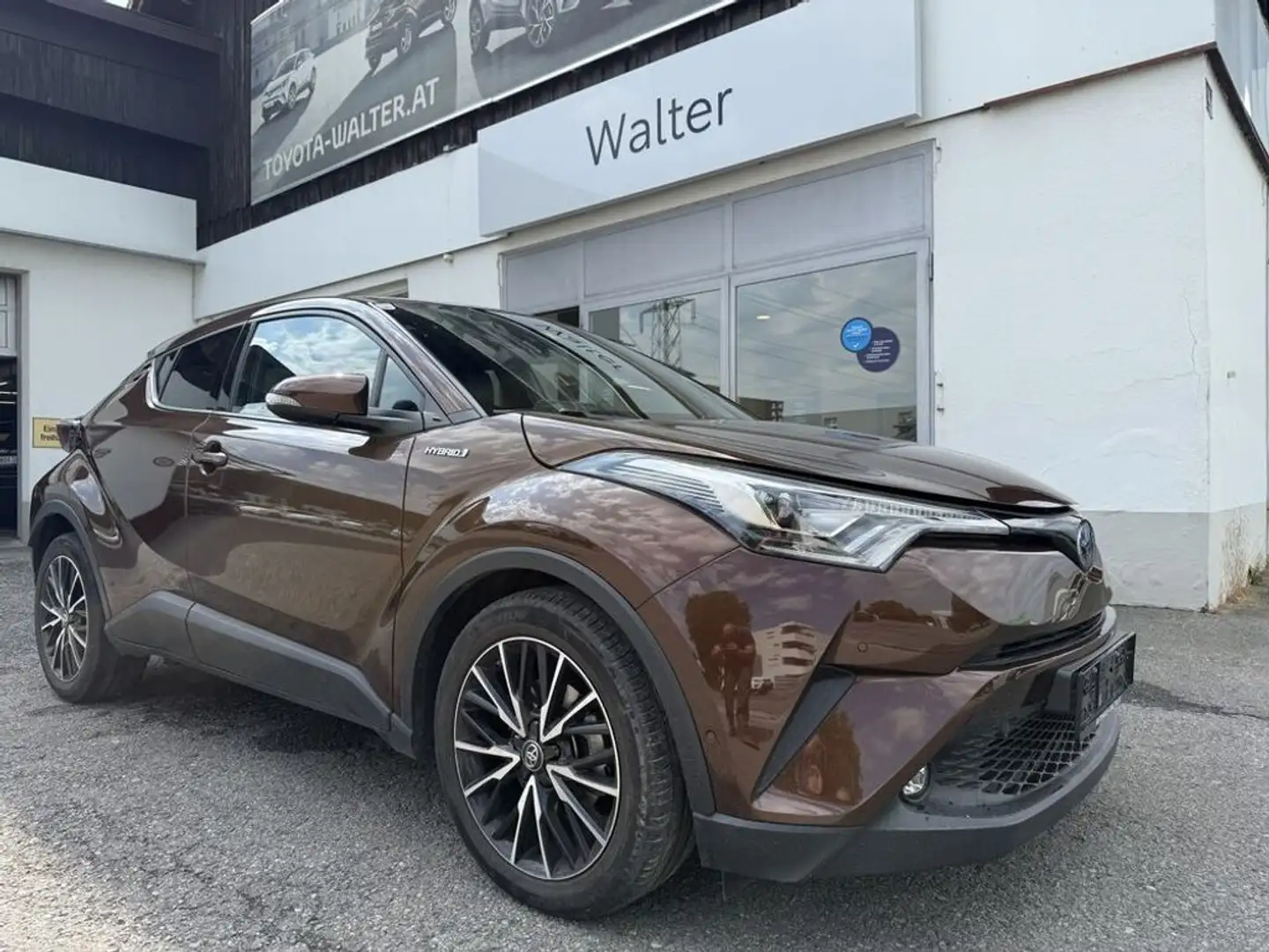 Toyota C-HR Hybrid C-HIC Braun - 1
