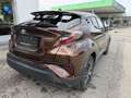 Toyota C-HR Hybrid C-HIC Braun - thumbnail 11